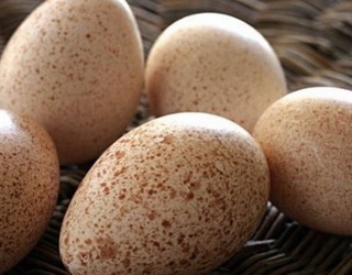 Індичі інкубаційні яйця можна зберігати у герметичній тарі, збагаченій азотом